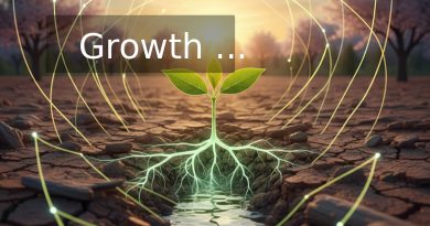 Growth …